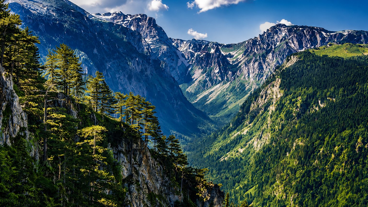 Durmitor mountain landscape with forest, limestone cliffs and high peaks