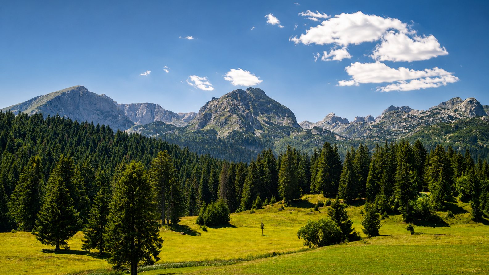 Wide panoramic view of Durmitor, green meadows and forest