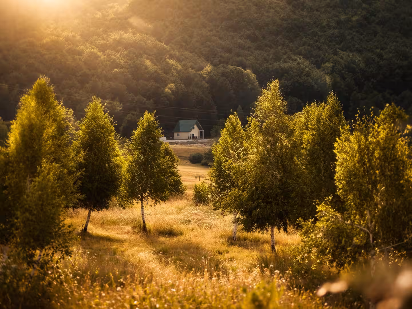 Cabin among golden autumn trees