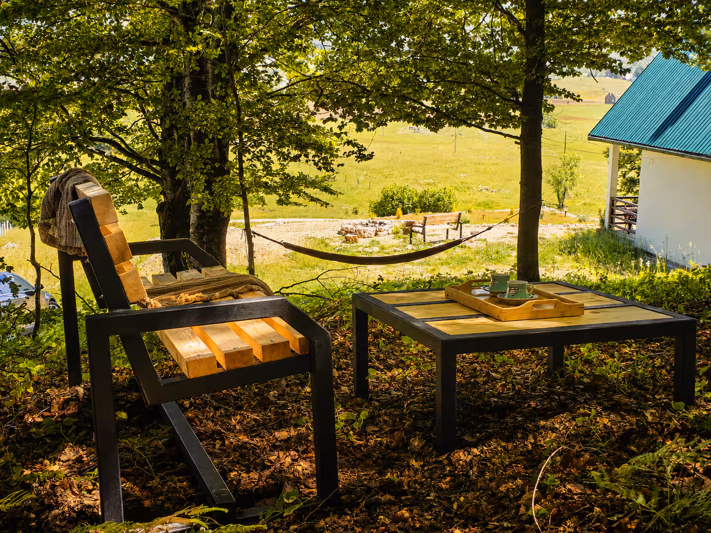 Forest panorama around the cabin