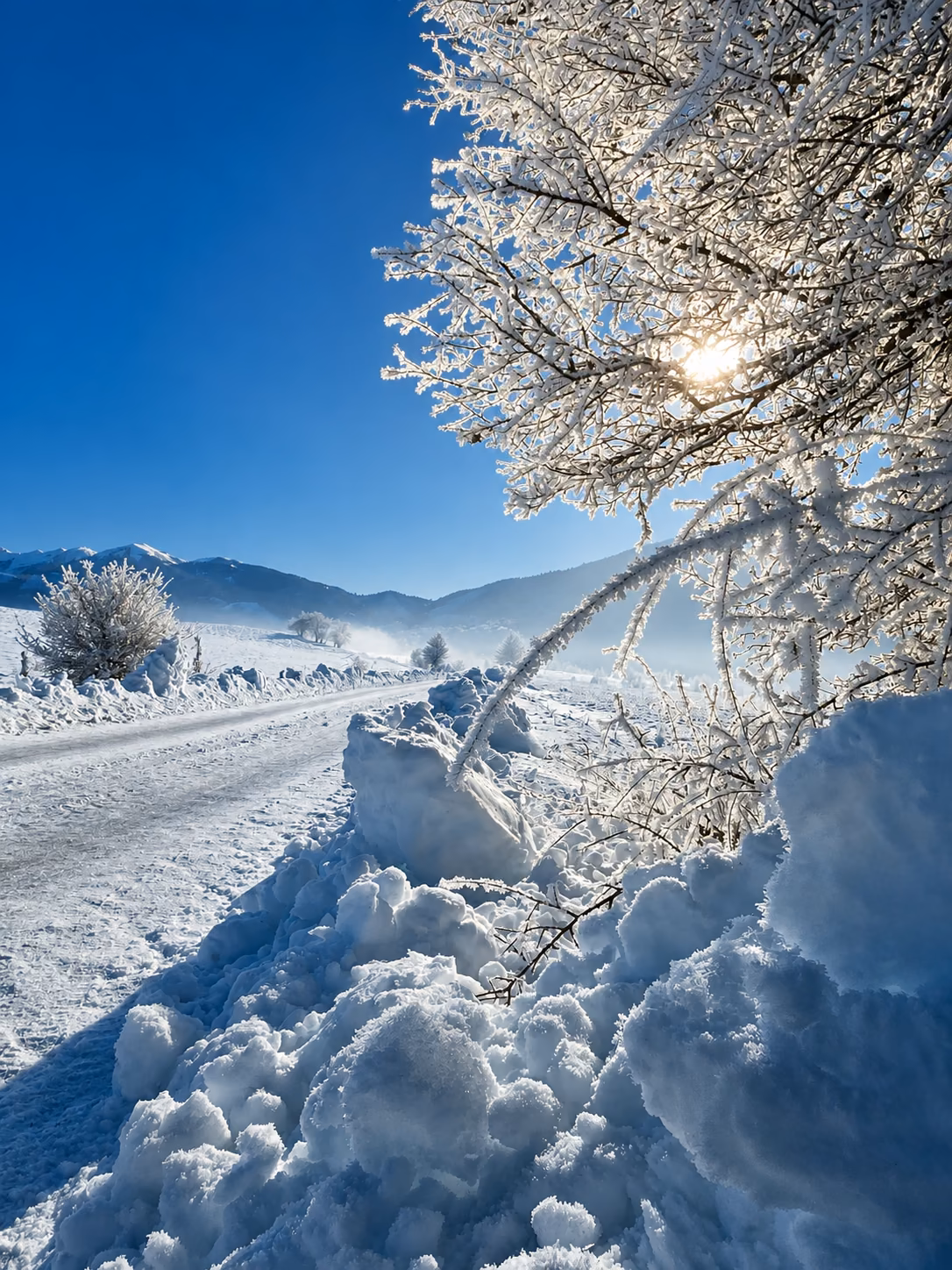 Frosted branches and snowy landscape near Brezna